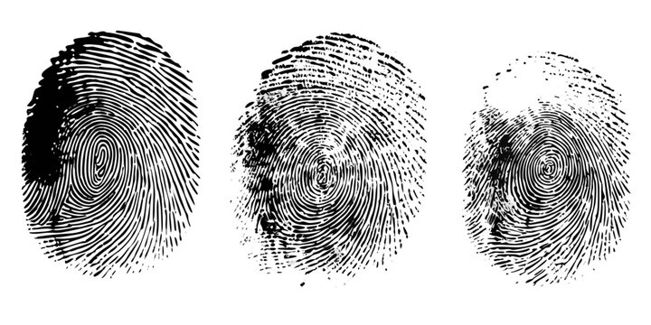 fingerprint trio detailed biometric illustrations on white background