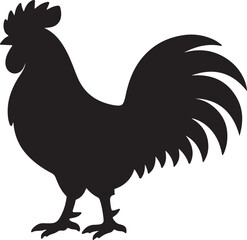 rooster isolated on white background © MdShomrat