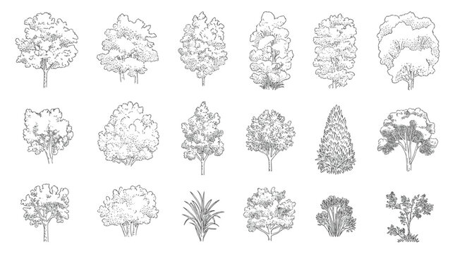 Hand Drawn Architectural Elevation Trees and Shrubs Vector Set for Landscape Illustration