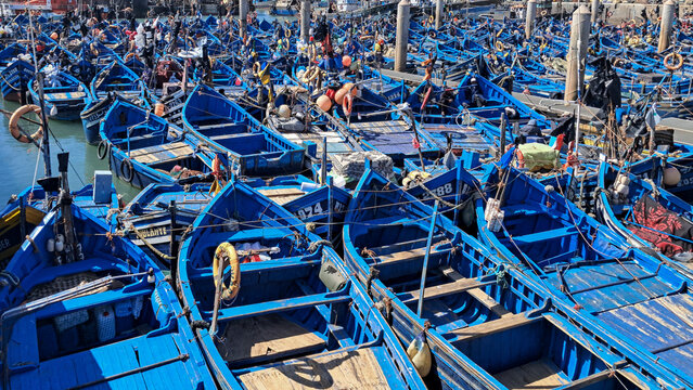 Traditional blue fishing boats in the historic port of Essaouira, Morocco