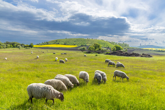Typical landscape near Ranna, Ceske Stredohori, Northern Bohemia, Czech Republic