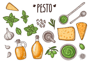 Hand drawn pesto sauce colorful vector collection. Detailed elements for sauce packaging, condiment labels, food branding, menus, stickers and culinary design. Vector drawing illustration.