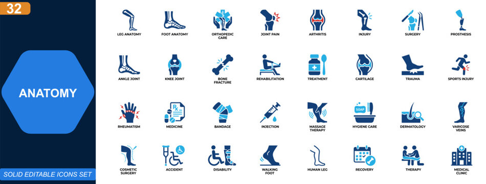 Leg and foot anatomy icon set. Orthopedic, joint pain, arthritis, injury, surgery, prosthesis, sports trauma, rehabilitation. Editable icons collection. Vector.