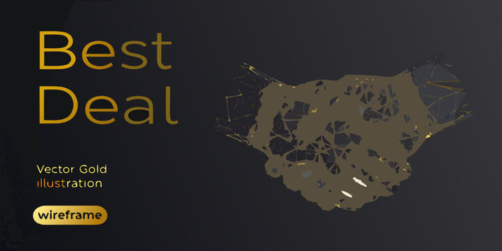 golden lion head wireframe vector illustration on dark background