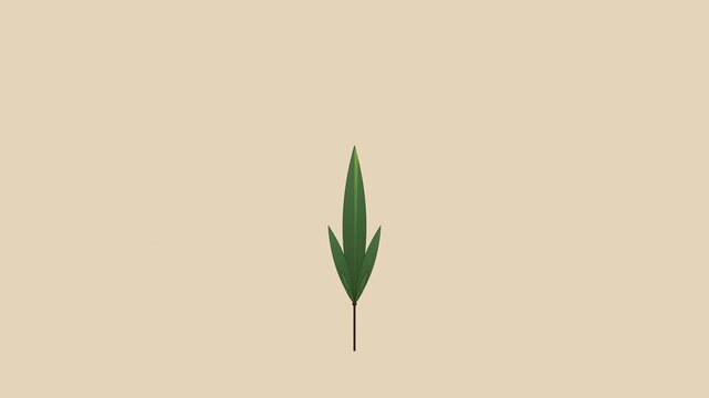 geometric chestnut tree leaf morphing on tan background