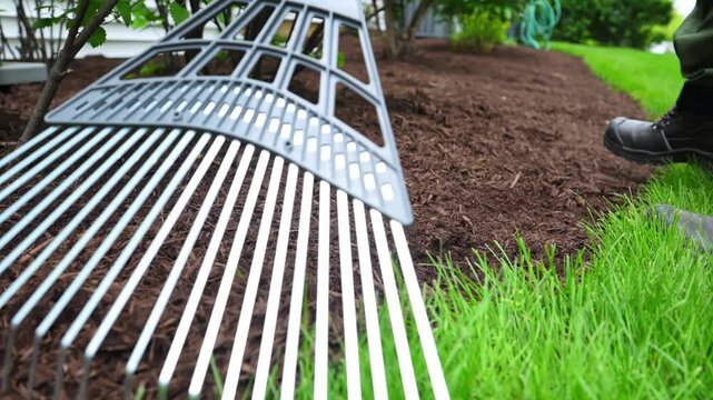 Landscaper raking fresh mulch around bushes in residential garden. Close up view of Lawn care and yard maintenance work in suburban backyard during spring season.
