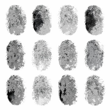 fingerprint collection on white background forensic evidence patterns