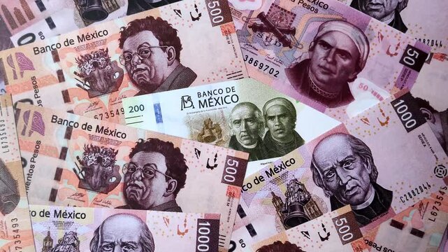 Mexican paper money, peso in various denominations. Mexican money as a business background for your design