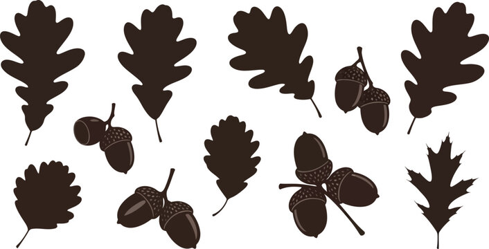 set of leaves