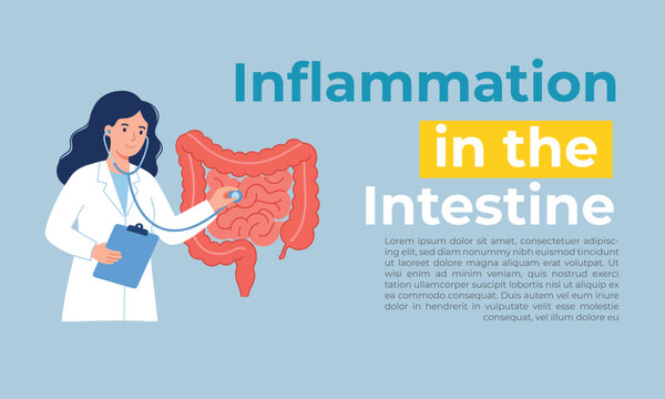 Pain or inflammation in the Intestine. Bowel, appendix, rectum and colon anatomy.