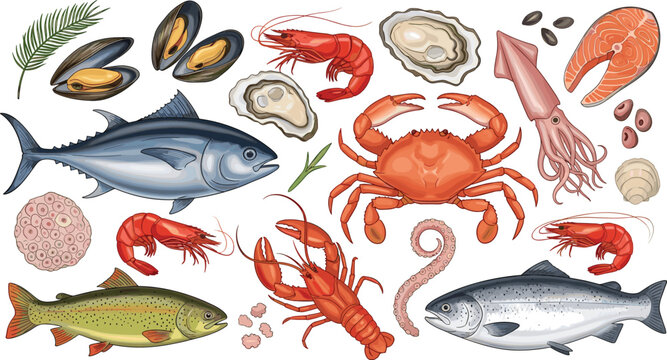 Seafood vector set with tuna, shrimp, crab, squid, fish, oysters, and mussels. Ideal for marine life, seafood designs, and restaurant themes.