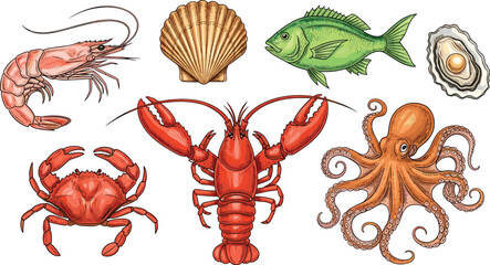 Seafood vector set. Shrimp, lobster, crab, shell, fish, and octopus illustrations. Perfect for marine life, ocean designs, and seafood businesses. © IVY QUEEN