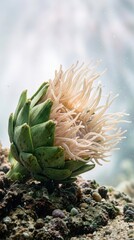 Fototapeta premium Artichoke with anemone tentacles underwater