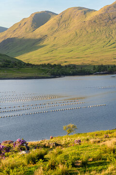 Sunset view of Killary Fjord near Leenane on the Galway Mayo border, Ireland. Scenic mountain and coastal landscape along the Wild Atlantic Way in Connemara.