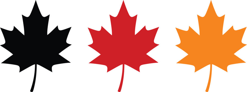 Canada day vector three maple leaves in black red and gold
