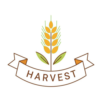 Harvest wheat bundle logo icon with banner ribbon in flat line art style illustration
