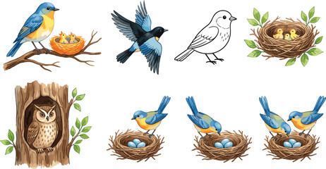 Obraz premium Cute Bird and Nest Collection with Bluebirds Owl Baby Chicks and Woodland Nature Cartoon Vector Illustration Set