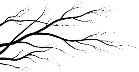 Obraz premium Silhouetted tree branches against a grey background, delicate skeletal structure with halftone effect, autumn or winter nature.