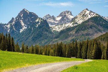 Majestic alpine landscape of Bielovodska dolina in High Tatras National Park, Slovakia. Scenic dirt hiking path through a green grass meadow with pine forests and snowy rocky peaks in background. © Ivan