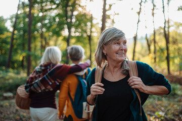 Fototapeta premium Group of elderly female friends enjoying woodland foraging adventure.