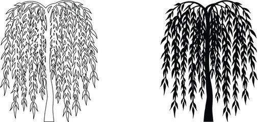 Weeping willow tree outline and solid silhouette vector icon. © pankajkumar