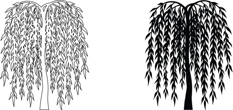 Weeping willow tree outline and solid silhouette vector icon.