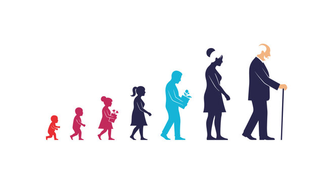 A series of colorful silhouettes illustrating the different stages of human life and the aging process, from infancy to old age. Life cycle and human development.