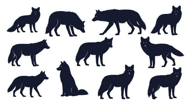 A collection of black silhouettes showcasing wolves in various natural poses, including standing, walking, sitting, hunting, and howling, isolated on a white background.