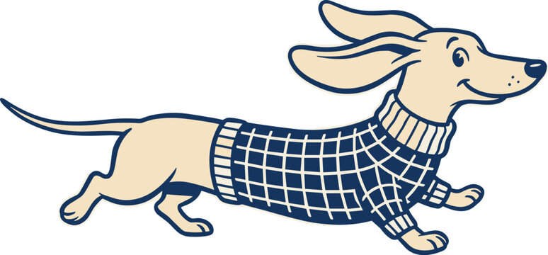 Dachshund dog running with plaid shirt outdoors