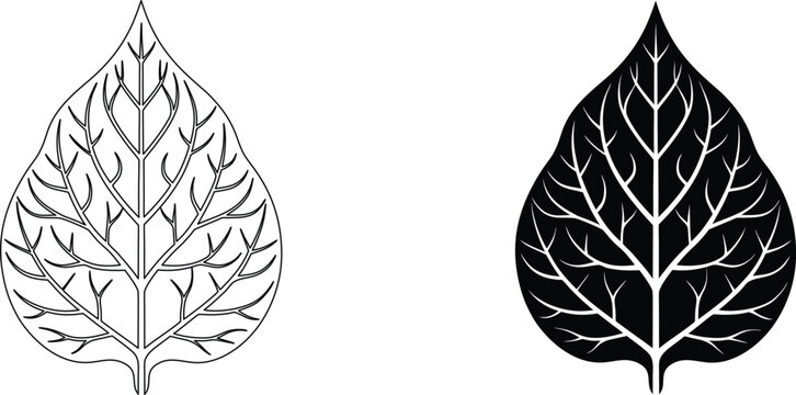 Detailed bodhi tree leaf, sacred fig plant, intricate vein structure vector illustration.
