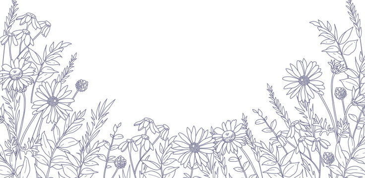Background with a botanical pattern of meadow flowers, leaves and herbs. Hand drawn floral border in line art style. Vector illustration