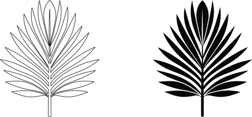 Palm leaf outline and solid silhouette vector icon. © pankajkumar
