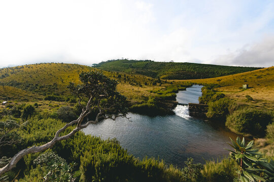 Chimney Pool - Horton Plains