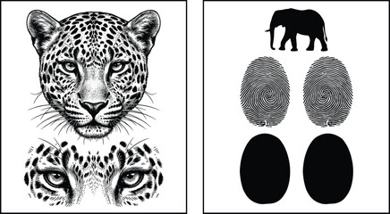 Detailed vector illustration set featuring vintage engraved leopard head and eyes alongside black silhouettes of an elephant thumbprint loops and oval shapes on white background © Malati