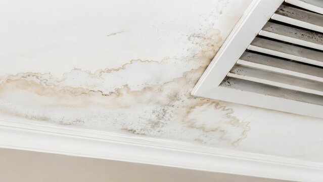 Water Damage And Mold Growing On Ceiling Near Air Vent In Apartment