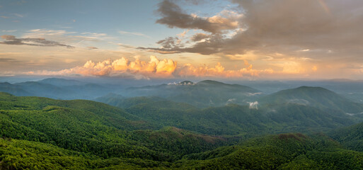 Fototapeta premium Nature landscape of Tennessee Appalachian mountains at sunrise. Mountain forest with green canopies in summer season