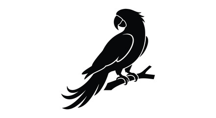 Parrot perched on branch black and white silhouette © Sumon
