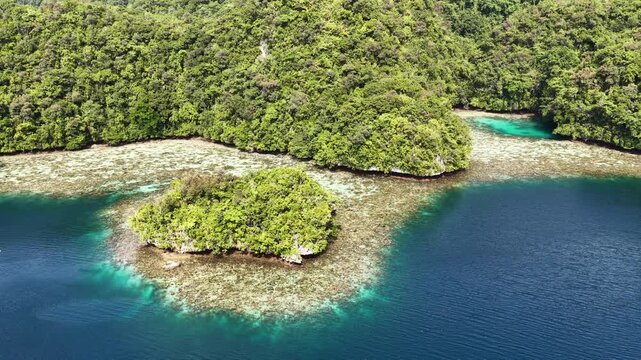 Shallow, fringing coral reefs thrive amid Palau's scenic Rock Islands. This extraordinarily beautiful island-nation is a popular destination for divers, snorkelers, kayakers, and World War II buffs. 
