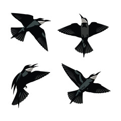 Obraz premium Flying swift and swallow bird vector illustration set featuring dark hand drawn avian elements with extended wings, isolated on white background for commercial design