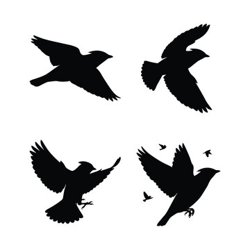 Flying crested bird silhouette collection, isolated waxwing or cardinal flight poses, black vector bird shapes