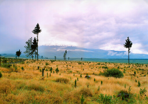 Cotopaxi National Park is one of Ecuador's most iconic protected areas, famous for being home to the Cotopaxi volcano, one of the world's highest active volcanoes at 5,897 meters above sea level.