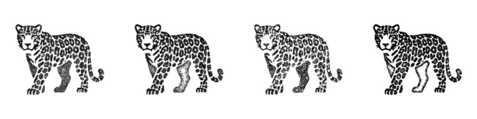 Obraz premium Monochrome sketch jaguar icon design set