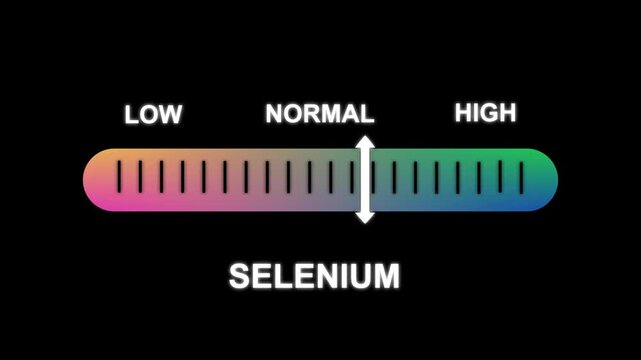 Selenium level indicator scale. Low normal & high meter infographic animation on black background. Showing high selenium level color gauge indicator .