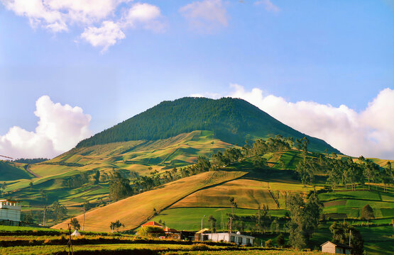 Cotopaxi National Park is one of Ecuador's most iconic protected areas, famous for being home to the Cotopaxi volcano, one of the world's highest active volcanoes at 5,897 meters above sea level. 