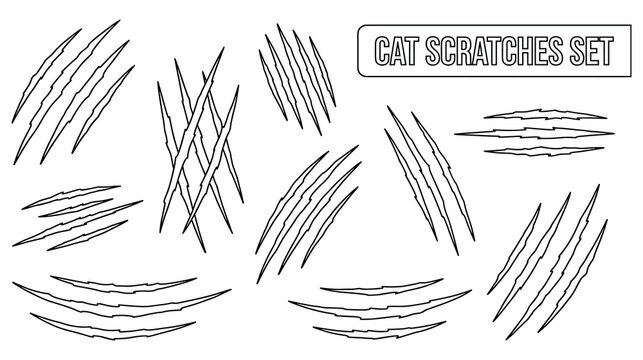 Cat scratches set claw mark scars animal aggression effect art.