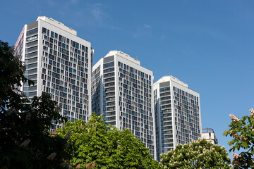 Obraz premium A row of tall buildings with lush flowering chestnut trees in front of them