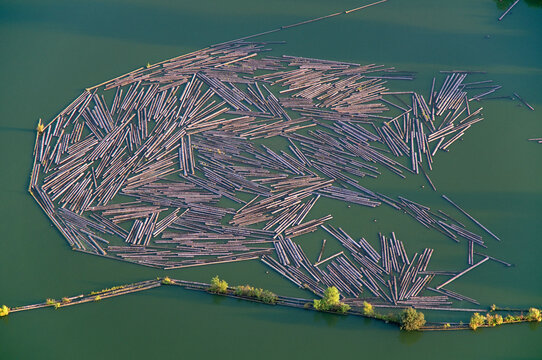 Warmia-Masuria, wood floating. plywood factory in Morag aerial, Poland