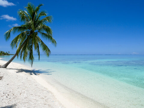 French Polynesia