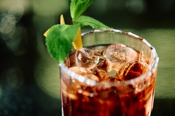Elegant Red Cocktail with Ice and Mint Garnish in Crystal Glass on Dark Background © Виктор Марчуков