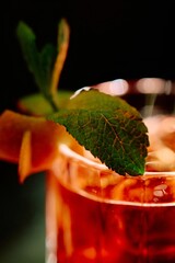 Elegant Red Cocktail with Ice and Mint Garnish in Crystal Glass on Dark Background © Виктор Марчуков